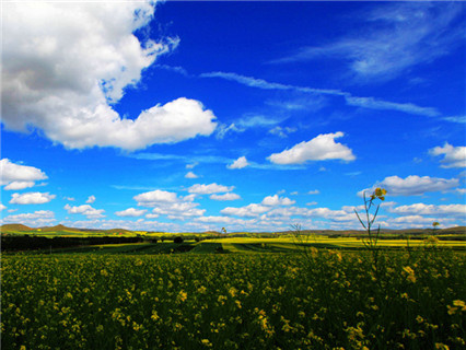 4 days Grassland Inner Mongolia Train