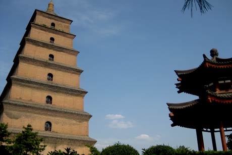 5 Days 4 Nights Xian Tour