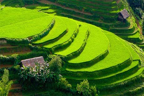 11 Days Beijing Xian Guilin Shanghai Group Tour
