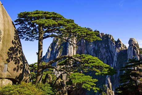 1 Day huangshan