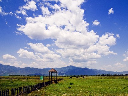 kangxi grassland