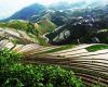 8 Days Beijing-Guilin Tour Package 8 Days Beijing-Guilin Tour Package