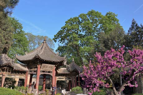 4 Days 3 Nights Xian Tour Package