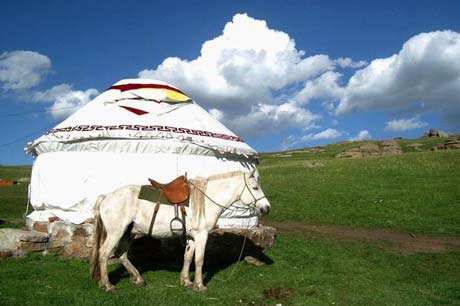 6 days connecting tour for Shanxi and Inner Mongolia tour