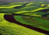 8 Days Private Tour (Beijing - Hohhot - Datong - Beijing) 8 Days Private Tour (Beijing - Hohhot - Datong - Beijing)