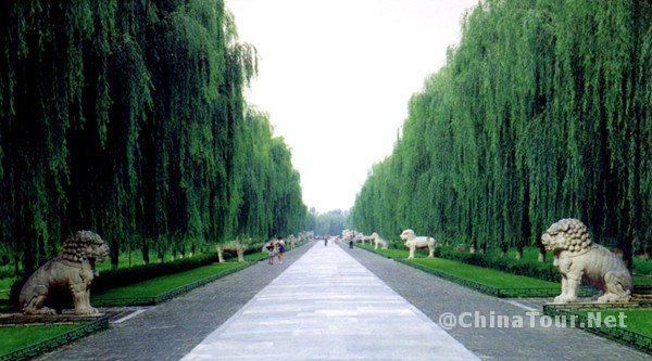 Sacred Way