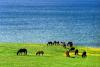 4 Days Train Travel from Beijing to Hohhot 4 Days Train Travel from Beijing to Hohhot