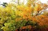 Fragrant Hills Park (Xiangshan Park)